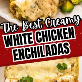White chicken enchiladas on a plate and in a baking tray topped with cilantro.