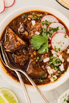 A bowl of tender Beef Birria meat served in the Birra sauce with diced onions, cilantro and sliced radishes on top.