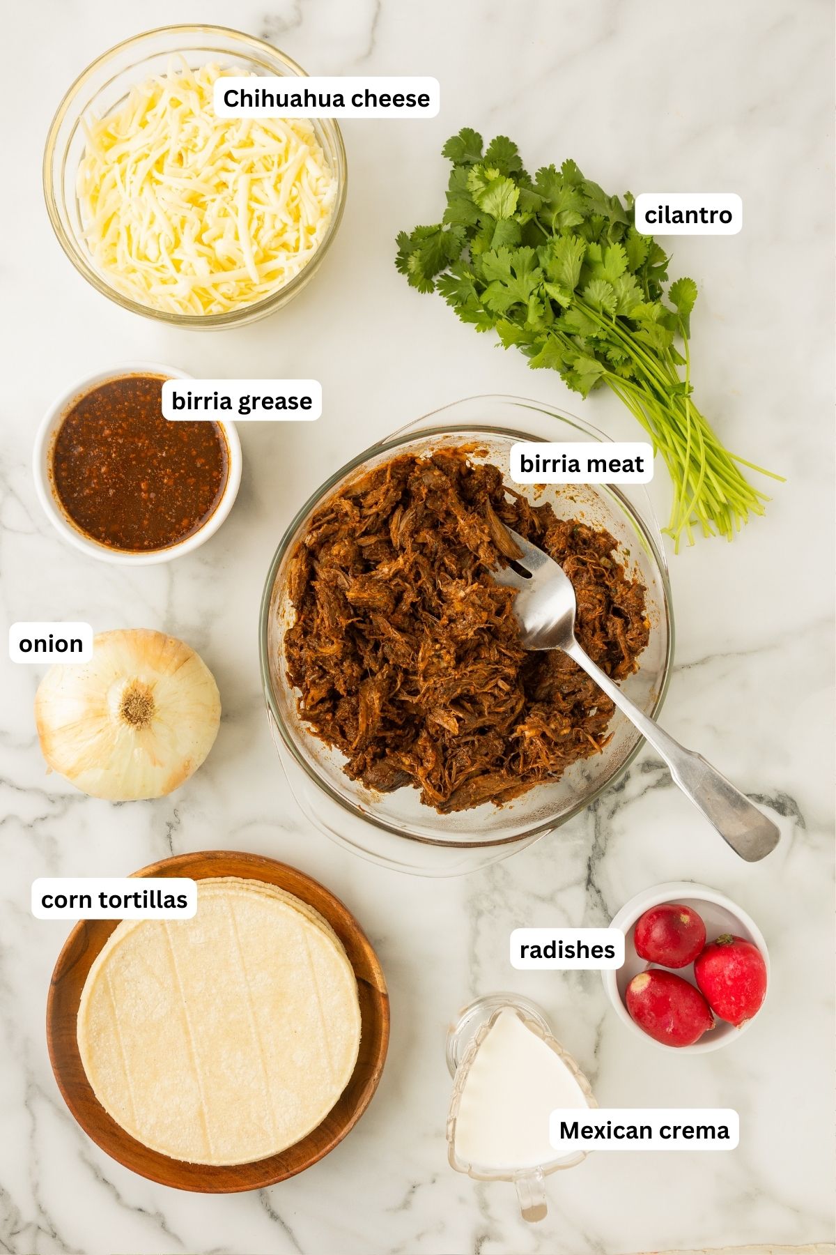 Ingredients for Birria Tacos recipe arranged in bowls. From top to bottom: chihuahua cheese, cilantro, birria grease, birria meat, onion, corn tortillas, radishes and Mexican Crema.