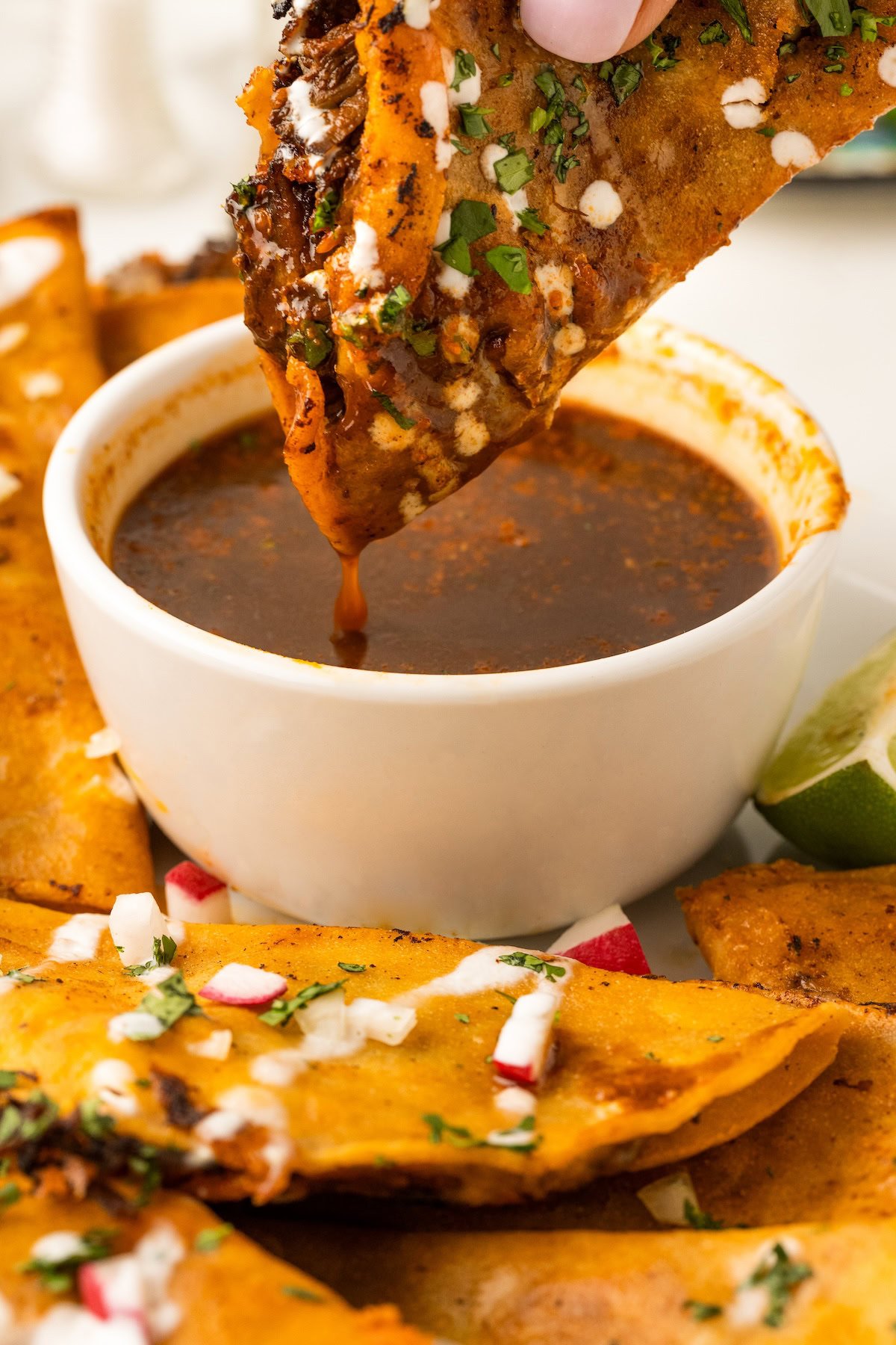 A crispy fried Birria taco stuffed with tender braised beef and lots of melty cheese being dunked in a bowl of warm Birria broth.