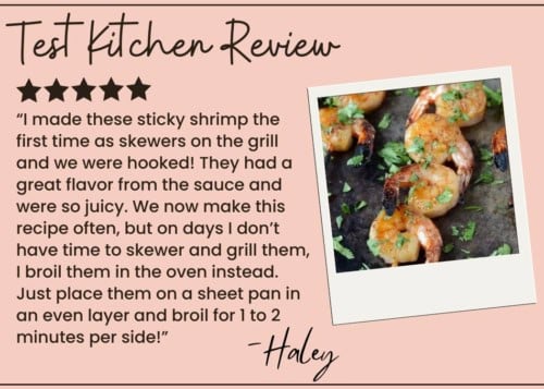 A five-star review from Haley highlights her tasty grilled shrimp skewers, sharing a broiling shortcut and a testimonial. The photo shows perfectly cooked shrimp garnished with herbs on a plate.