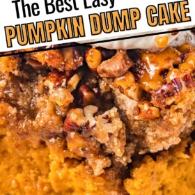 A slice of pumpkin dump cake with toffee and pecan topping with whipped cream on top.