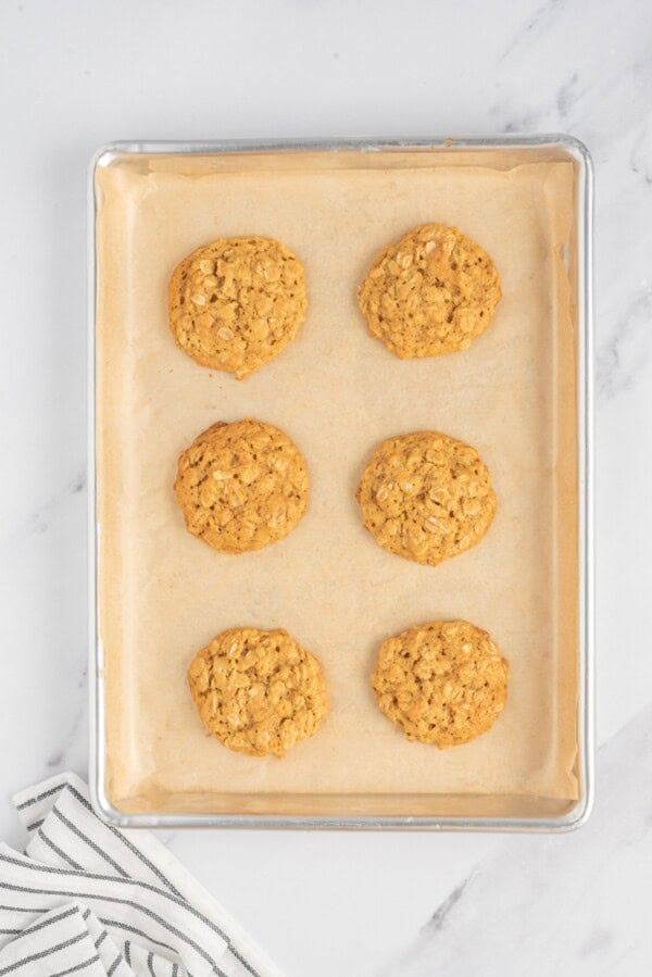 A batch of oatmeal pumpkin cookies are freshly baked on a parchment lined baking sheet.