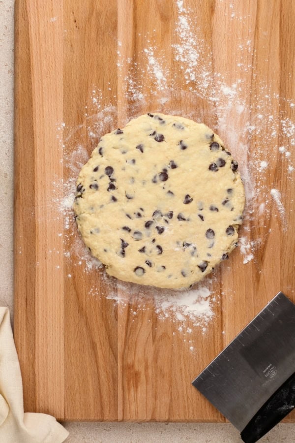 Scone dough with chocolate chips has been rolled into a flat circle on a floured surface.