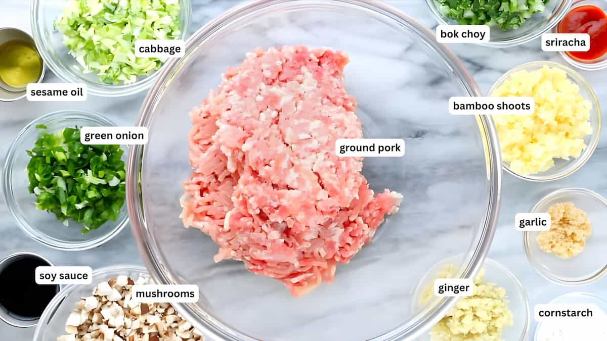 Ingredients for homemade Chinese dumplings recipe: a glass bowl of raw ground pork is at the center, surrounded by small bowls of labeled ingredients: cabbage, bok choy, sriracha, bamboo shoots, garlic, ginger, cornstarch, mushrooms, soy sauce, green onion, and sesame oil.