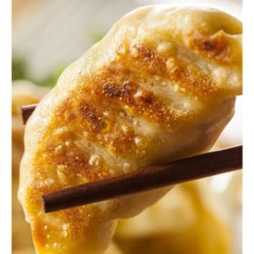 Close-up of a golden-brown, pan-fried potsticker held by chopsticks.