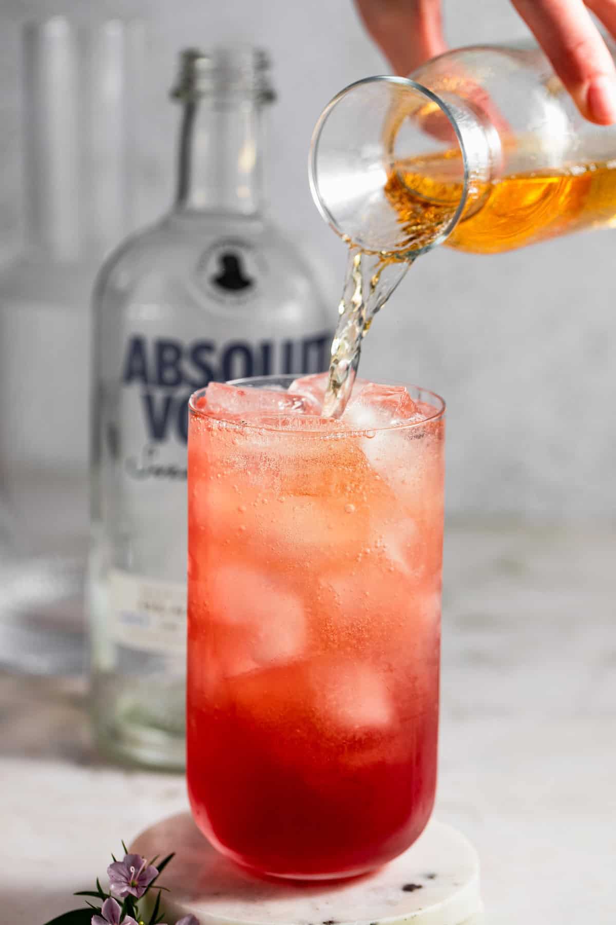 A reddish-pink transfusion cocktail with ice in a glass with a small glass pitcher pouring ginger ale into the tall glass. A bottle of vodka is in the background, and a small purple flower sits on the table.