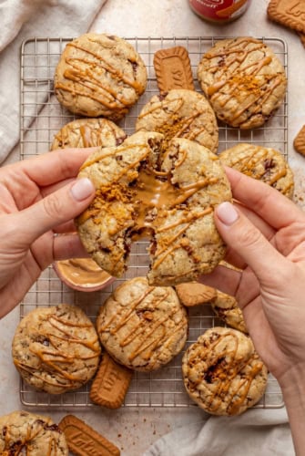 Hands breaking a large stuffed biscoff cookie butter cookie drizzled with biscoff cookie butter over a cooling rack filled with similar cookies and Biscoff biscuits.