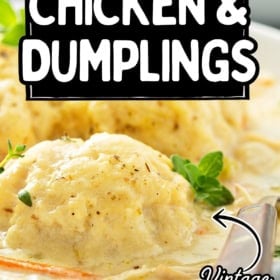 Close-up of creamy chicken and dumplings topped with herbs, with text overlay: “the best one-pot chicken & dumplings, vintage recipe!” and the website thenovicechefblog.com at the bottom.