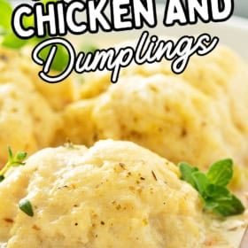 Close-up of homemade chicken and dumplings in creamy sauce, garnished with herbs. Bold text reads The Best Homemade Chicken and Dumplings. The Novice Chef is displayed at the bottom.
