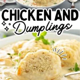 A bowl of creamy chicken and dumplings topped with herbs, featuring fluffy dumplings, chicken pieces, and carrots. The image includes text reading “Chicken and Dumplings” and the website thenovicechef.com.